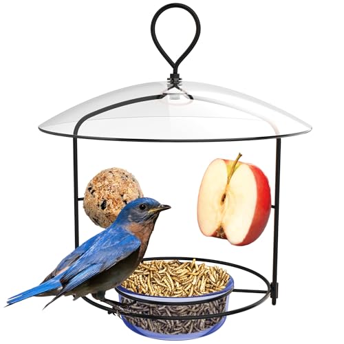 Nature’s Way BBFM1 Bluebird Buffet Metal Bird Feeder with Protective Baffle, Outdoor Wild Bird Feeder and Décor, One Glass Dish with 3/4 Cup capacity, Blue