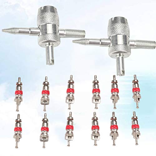 POPETPOP 12 Pcs 4 Vias VÃ¡lvula Ferramenta Ferramenta Removedor de NÃºcleo Ferramenta de Reparo de P