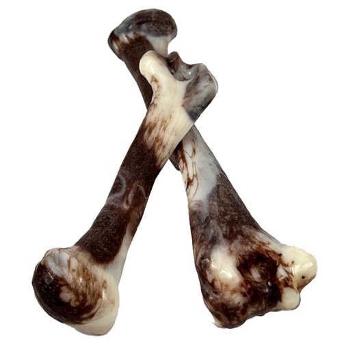 J&E Importers The Pet Store 7” Jurassic Bone Dog Chew Pet Toy For Aggressive Chewers, Maximum Strength, Tough Extreme, Hours Of Fun For Your Dog. - Image 3