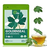 EnrychLeafo Goldenseal Root Tea Bags with Echinacea & Astragalus, Herbal Immune & Respiratory Wellness Blend, Caffeine Free, 50-Count