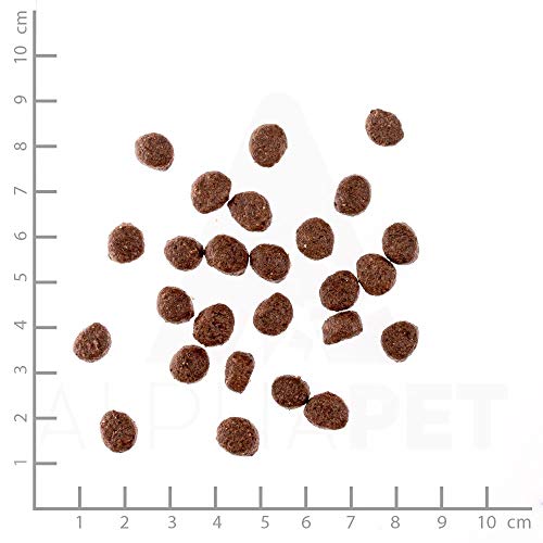Wildes Land - Nr. 8 Puppy Ente & Huhn - 24 kg - mit Kartoffeln und Wildkräutern - Glutenfrei - Trockenfutter für Hunde - Hundefutter mit hohem Fleischanteil - Hohe Verträglichkeit