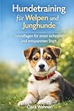 Hundetraining für Welpen und Junghunde: Grundlagen für einen sicheren und entspannten Start