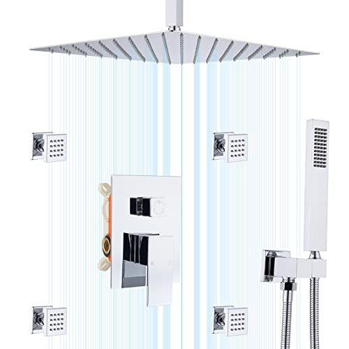 Top 17 Best High End Shower Head Reviews & Comparison