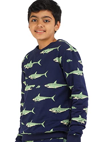 Image of Real Basics Boys Cotton Round Neck Sweatshirt /Hoodie