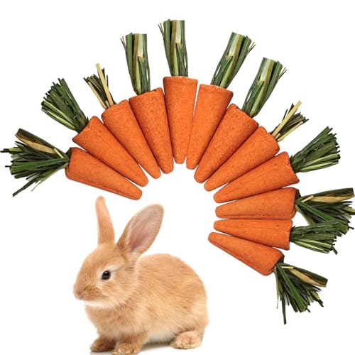 LXENSYENGX 12PCS Hamster Chew Treats Carrot Shape – Timothy Hay