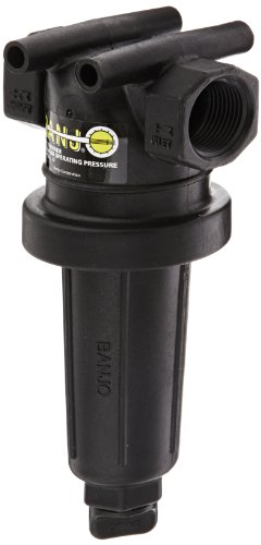 Banjo LST100-50 Polypropylene T-Strainer, 50 Mesh, 1