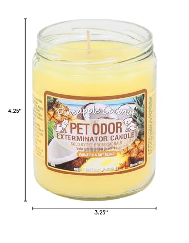 Image of Pet Odor Exterminator Candle Pineapple Coconut
