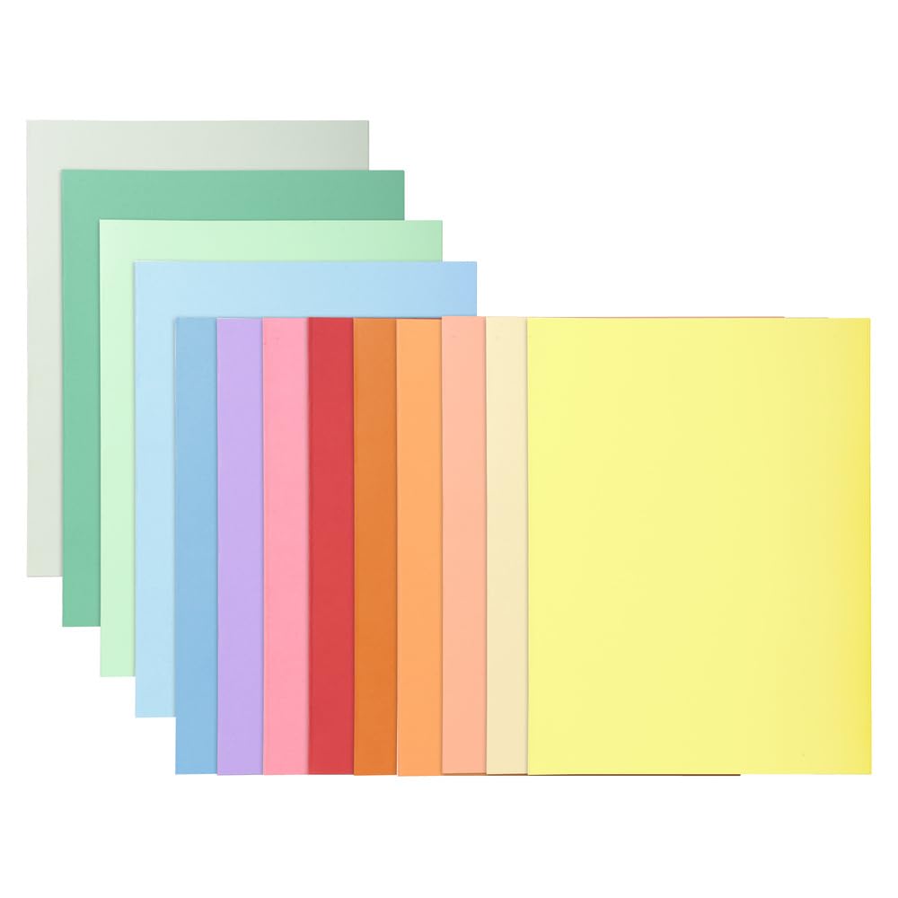 Exacompta 330000E - Lote de 100 Subcarpetas Super 250, Multicolor, 24 x 32 cm