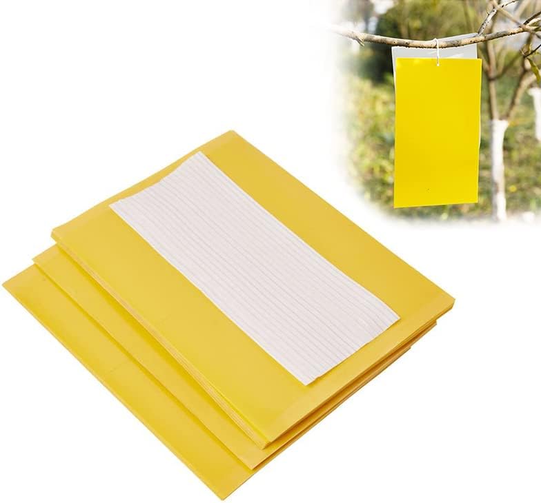 6周年記念イベントが 智慧生活 カラー 黄色 合計 30 コバエ取り コバエ 害虫駆除 ハエ取り 殺虫器 アブラムシ 駆除 園芸シート ダニ取りシート ハエ取り紙 粘着シート 観葉植物 防虫シート 防虫テープ 家庭菜園 土 ダニ取り 蜂よけ グッズ ハエとり草 虫取りシート 防虫