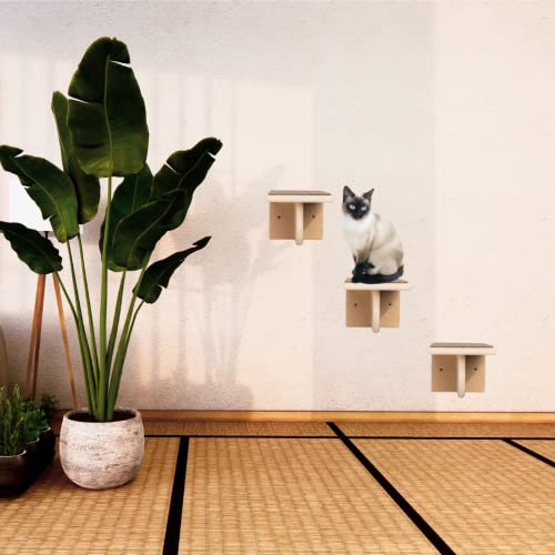 Kit com 3 Degraus Escada Suspensa de Parede para Playground Gato