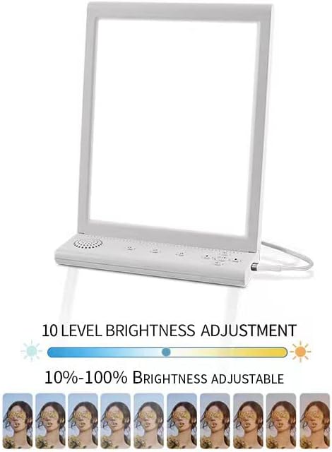 Brightness adjustment bar from 10% to 100%