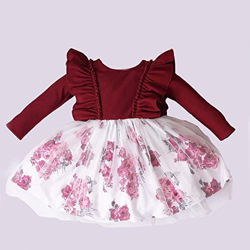 Image of OMALI Baby Girl Dungry Dress | Long Sleeve | Infant Casual Dress | Ruffle Print Clothes
