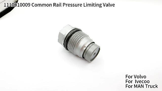 Amazon.com: New Common Rail Pressure Limiting Valve 1110010009 1 
