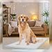 Ale-commerce 50 Stück Trainingspads für Hunde 60 x 90 cm Hundetoilette Inkontinenz Bettunterlage 6-lagiges Design Hundezubehör Schnell Trocknende Welpen Ältere Hunde Saugstarke Wickelunterlage