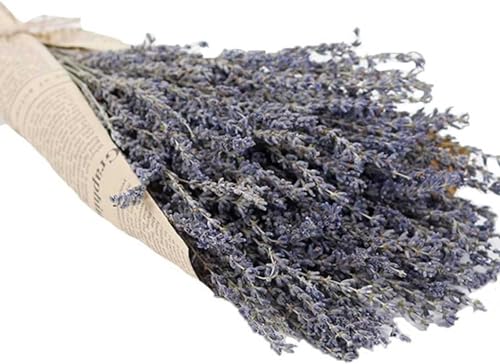 Ramos de lavanda seca para decoración y fragancia miniatura 3