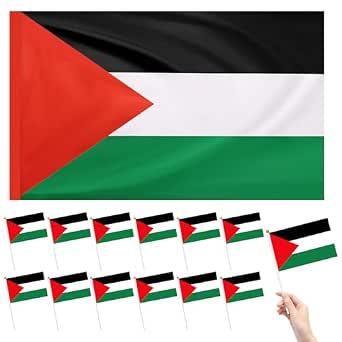Palästina Flagge 150 X 90 Cm + 6*Palästina Flagge Produktbild-Vorschau 11