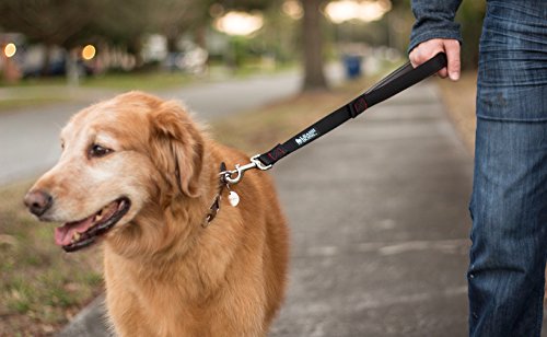 Leashboss Short Dog Leash For Dog Training | Padded Traffic Handle Short Leash For Dog Training, Total Comfort When Dog Walking | Traffic Leash For Dogs Large, Medium, Small | Short Nylon Dog Lead #TOP2