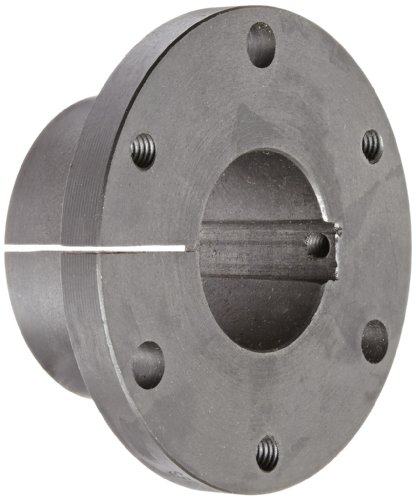 TB Woods Type SF SF48MM Sure-Grip Bushing, Cast Iron, 48 mm Bore, 3.125