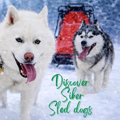 Discover Siber Sled Dogs: Siber Sled Dogs
