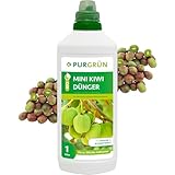 Purgrün