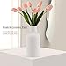 White Ceramic Flower Vase, Minimalist Modern Home Decor, Matte Finish Pampas Grass Vase for Table, Fireplace, Shelf, Mantel, Entryway and Centerpieces