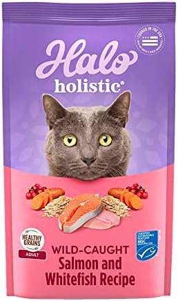 Halo Holistic Cat Food Dry, Wild-caught Salmon and Whitefish Recipe, Complete Digestive Health, Dry Cat Food Bag, Adult Formula, 6-lb Bag