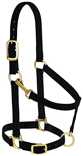 Weaver Leather Nylon Horse Halter, Padded and Adjustable, Chin and Throat Snap Hook Halters for Horses, Brass Plated Halters for Training