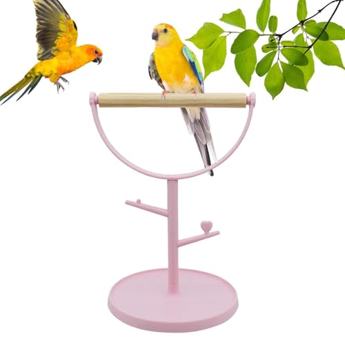 Support d'entraînement pour oiseaux,Stand de perruches - Cage Perche Porte-Oiseau De Table En Bois Portable Résistant Aux Morsures Pour Perruches, Cockatiel,...