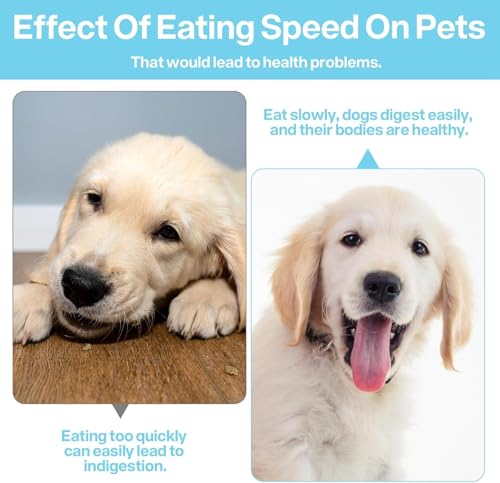 YSTrillion Hundenapf Slow Feeder,Anti Schling Einsatz für Napf Silikon,Slow Feeder Hundenapf Einfügung für Hunde Katzen Zubehör Entlastet die Verdauung Überessen