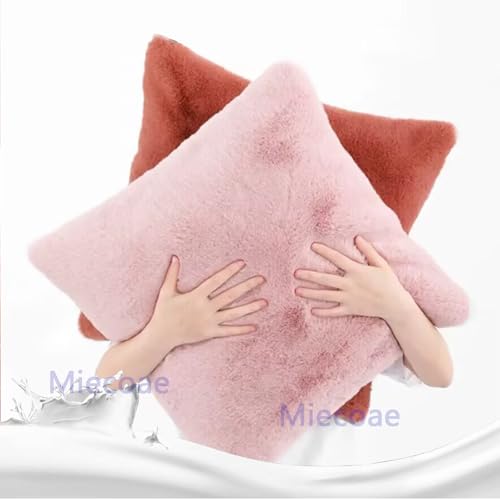 Housse de coussin 50x70 cm lot de 2 taies d'oreiller modernes pour sofa