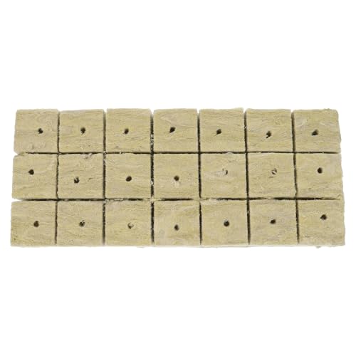 GOOHOCHY 20個 水耕栽培用無土栽培基質苗床トレイ 多機能吸水性育苗ブロック 種まき用スプラウトトレイ 豆類 麦芽向け家用園芸用品