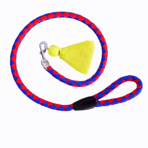 DSJUGGLING 3D Dragon POI Rope Ball Combo Accessories - 340g Weighted Ball with 1.1 Meters Swing Rope Fitness Dragon Senior String Dragon Dance Fling Rope Set with Spinball