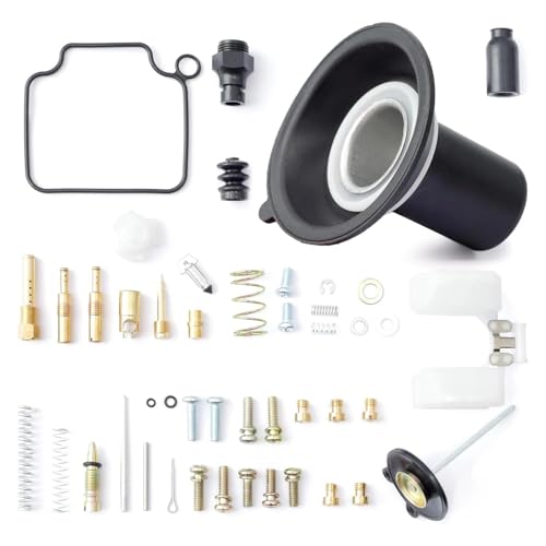 Kit de réparation carburateur Rebel 250 CMX 250 CA250 1985-2016