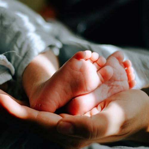 Archbishop Sherrington reflects on the wonder of the child in the womb