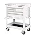 30 in. 5 Drawer Mechanic's Tool Cart Cabinet - White