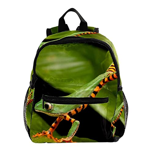 Sac à dos enfants animal forêt grenouille 30,5 cm pour garçons