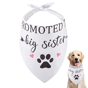 Arricraft 1 Stück Hundehalstuch Große Schwester Befördert