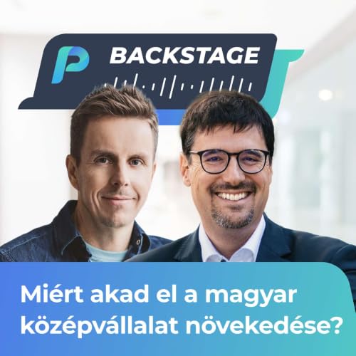 Mi&eacute;rt lesz jobb az egyik magyar k&ouml;z&eacute;pv&aacute;llalat, mint a m&aacute;sik?