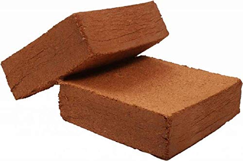 Image of Bazodo Coir Pith Block for Gardening & Plants, Expands into Coco Peat Powder - 5 KG