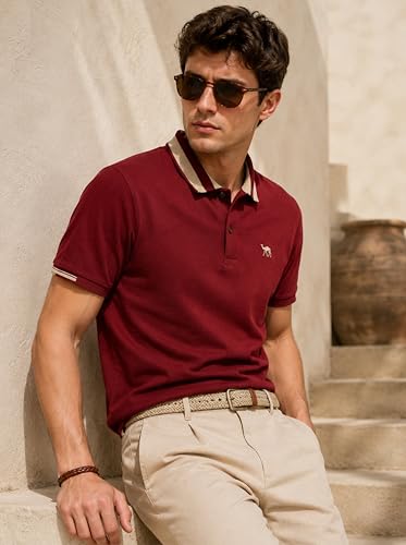Image of Men's Polo - FYLTR Men's Regular Fit Polo T-Shirt with Contrast Tipping Collar - 100% Cotton | Soft Handfeel | Casual T-Shirts for Men