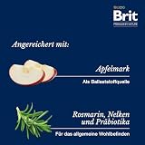 Brit Premium by Nature sucha karma dla kociąt i kotów karmiących/ciężarnych, smak kurczaka, 8 kg