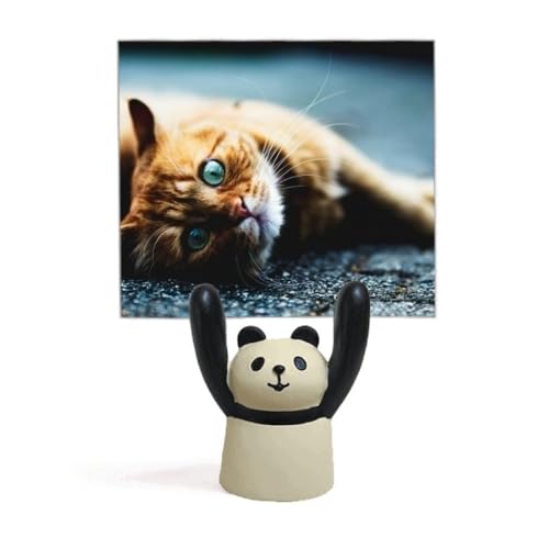 Support de photo de chat aux yeux bleus pour égayer votre espace de travail