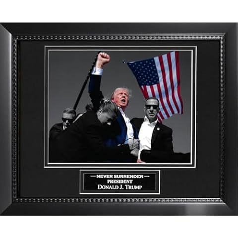 New England Picture Assassination Attempt of President Donald J. Trump - Iconic Photo - with spotlight effect on Trump, July 13, 2024, Butler Pennsylavania. Black 16.5x13.5 Frame Cover