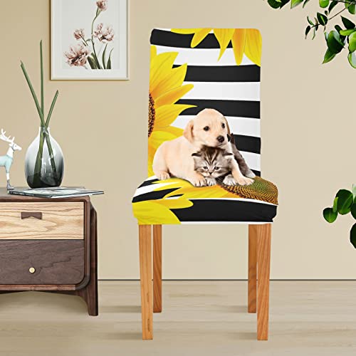 Susiyo 4Pcs Chair Covers, Sunflowers On A Striped Black And White Dining Room Chair Protector Slipcovers Stretch Removable Washable For Kitchen Hotel Office Banquet Wedding Party #TOP4