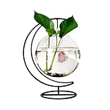 Tischfischbehälter mit Sockel: ein hängendes Aquarium mit einem Halter, kreatives Design, sehr gut für die Tischdekoration, damit Ihr Tisch oder kleine Fische süß und charmant schwimmen können.