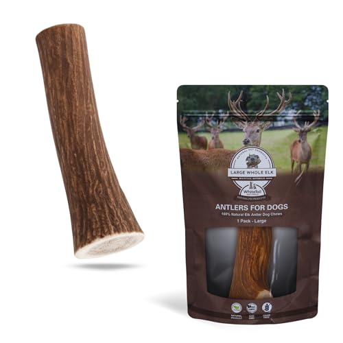 WhiteTail Naturals - Premium Elk Antler Chews for Large Dogs (1 Pack - Large) | Naturally Shed, Durable & Long-Lasting Antler Bone Chew Toy