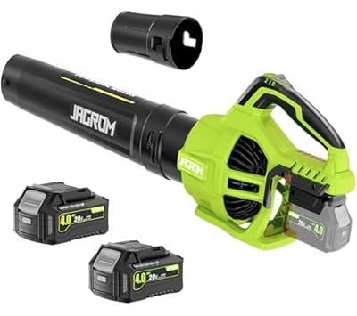 Leaf Blower Cordless with 2 x 4.0Ah Battery and Charger, 580CFM 160MPH Electric Blower with 2 Speeds, 20V Handheld Leaf Cleaner for Lawn Care, Blowing Leaves, Dust, Snow, Gravel for Patio, Yard, Green