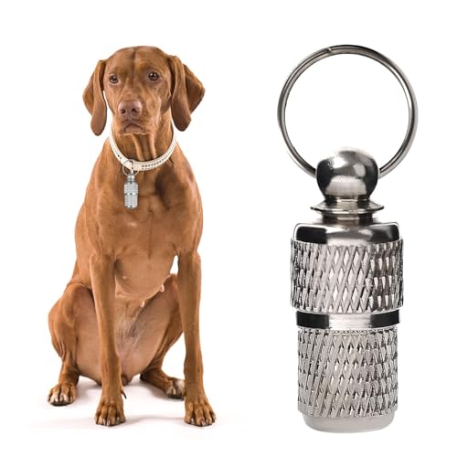 Adressanhänger für Hunde Katzen, 6 Stück Adressanhänger, Hundemarke Tiermarke mit Schlüsselring, Adresse Katzenmarke, Hundemarke Anhänger, Personalisierte hundemarke Haustiere hunde Katzen zubehör