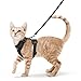 rabbitgoo Cat Harness and Leash for Walking, Escape Proof Soft Adjustable Vest Harnesses for Cats, Easy Control Breathable Reflective Strips Jacket, Black, XS