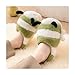 Baiyuruodie Adorable and Fashionable Animal Slippers,Women's slippers ，Non-slip Sole and Warm(Green, Adult, Women, 8.5, Numeric Range, US Footwear Size System, 9, Medium)